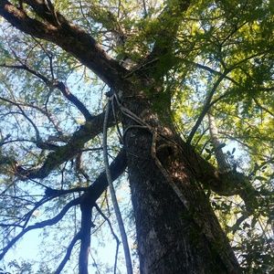 Meet your Posher, Patti